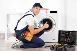 Electrolux-washing-machine-service-raipur
